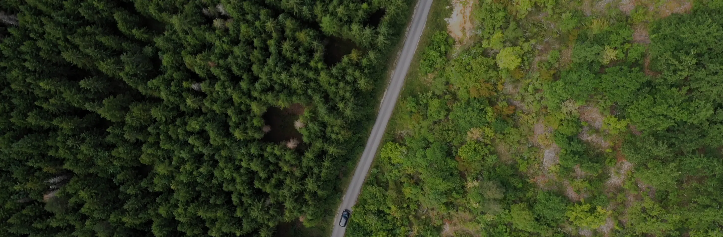 View of well-maintained two-story home in the middle of the day within a peaceful neighboord with many surrounding trees.